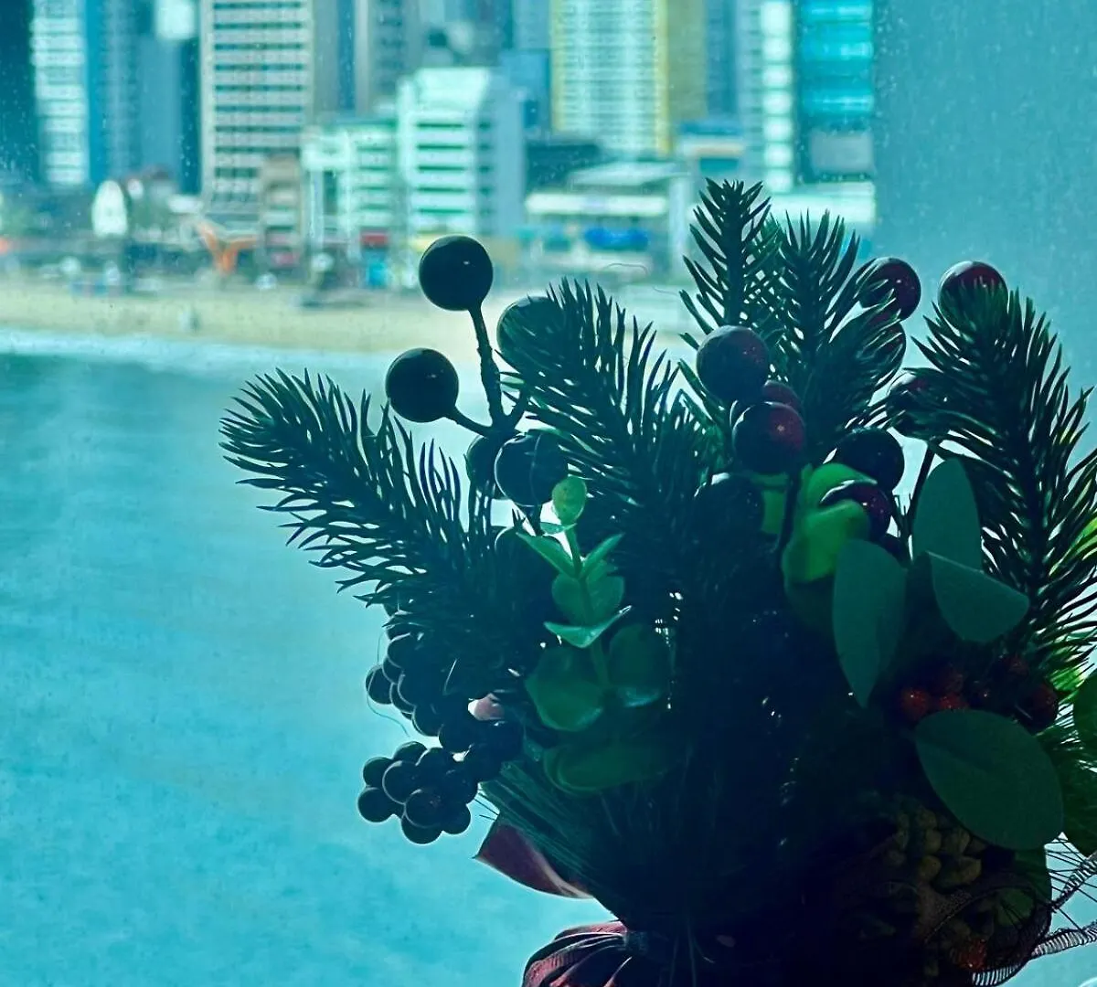 Apartment Gwangalli Beach Stylish Accommodation Peaceful Night Busan