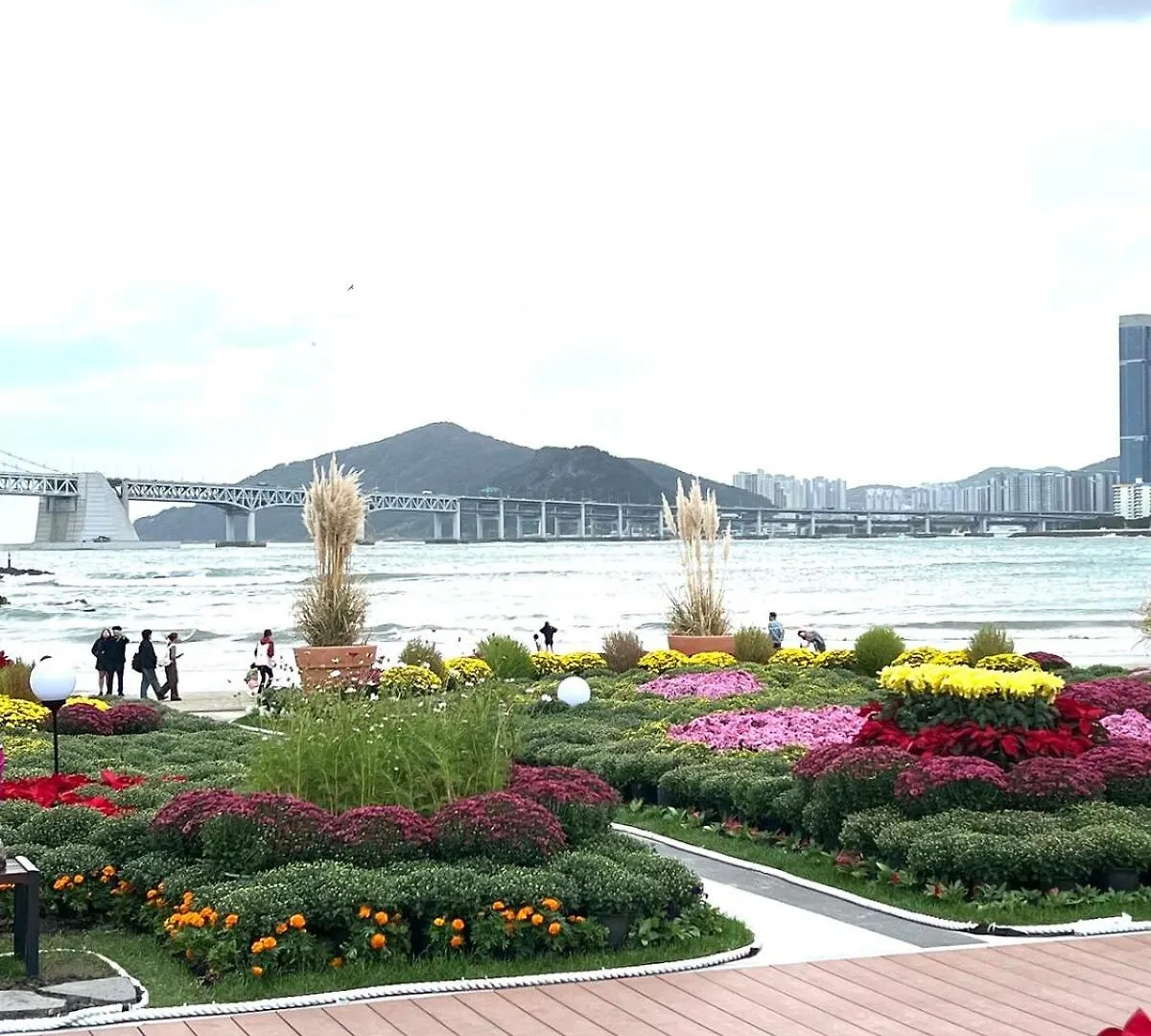 Gwangalli Beach Stylish Accommodation Peaceful Night Pusan