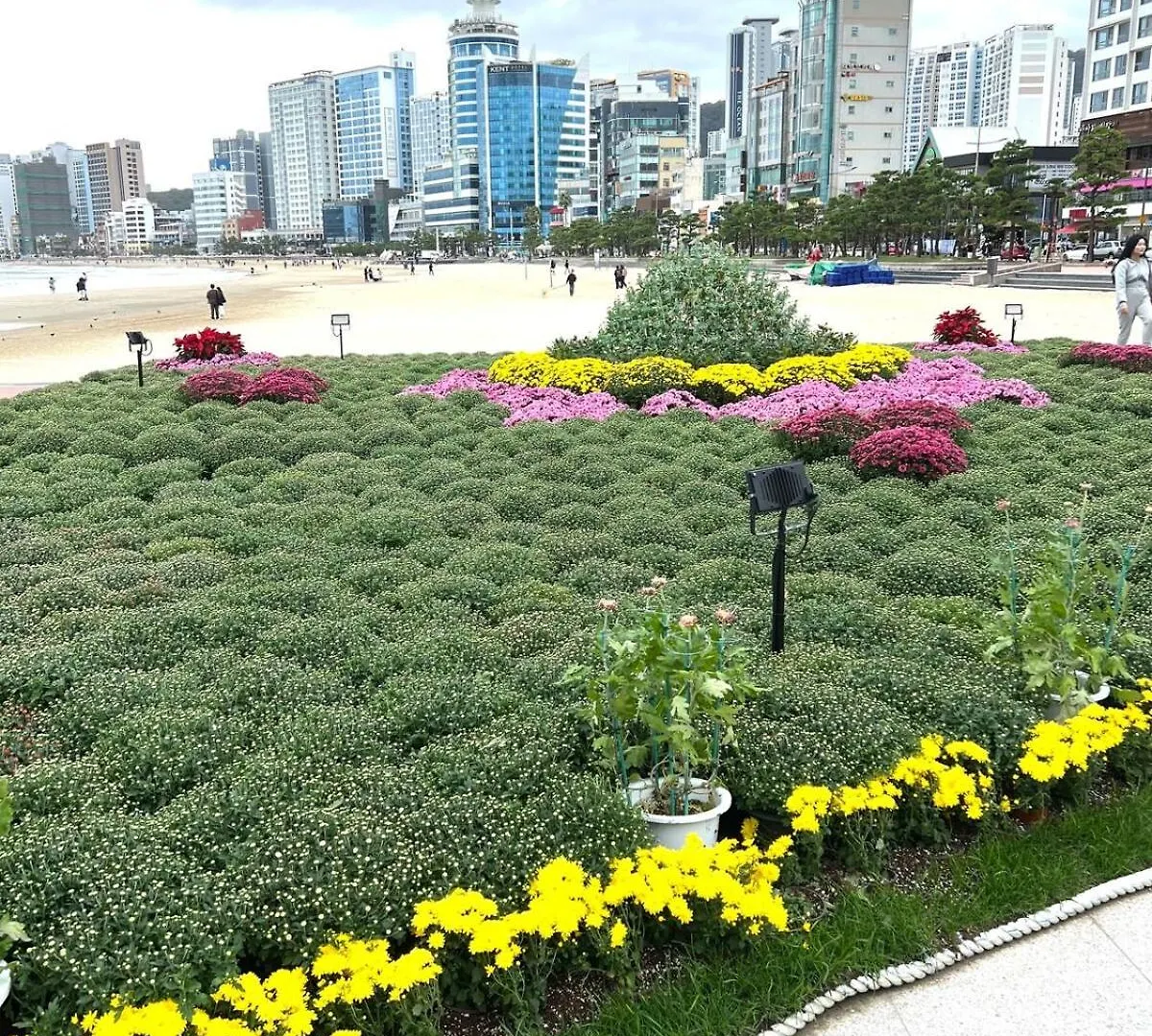 Apartmán Gwangalli Beach Stylish Accommodation Peaceful Night Pusan Jižní Korea