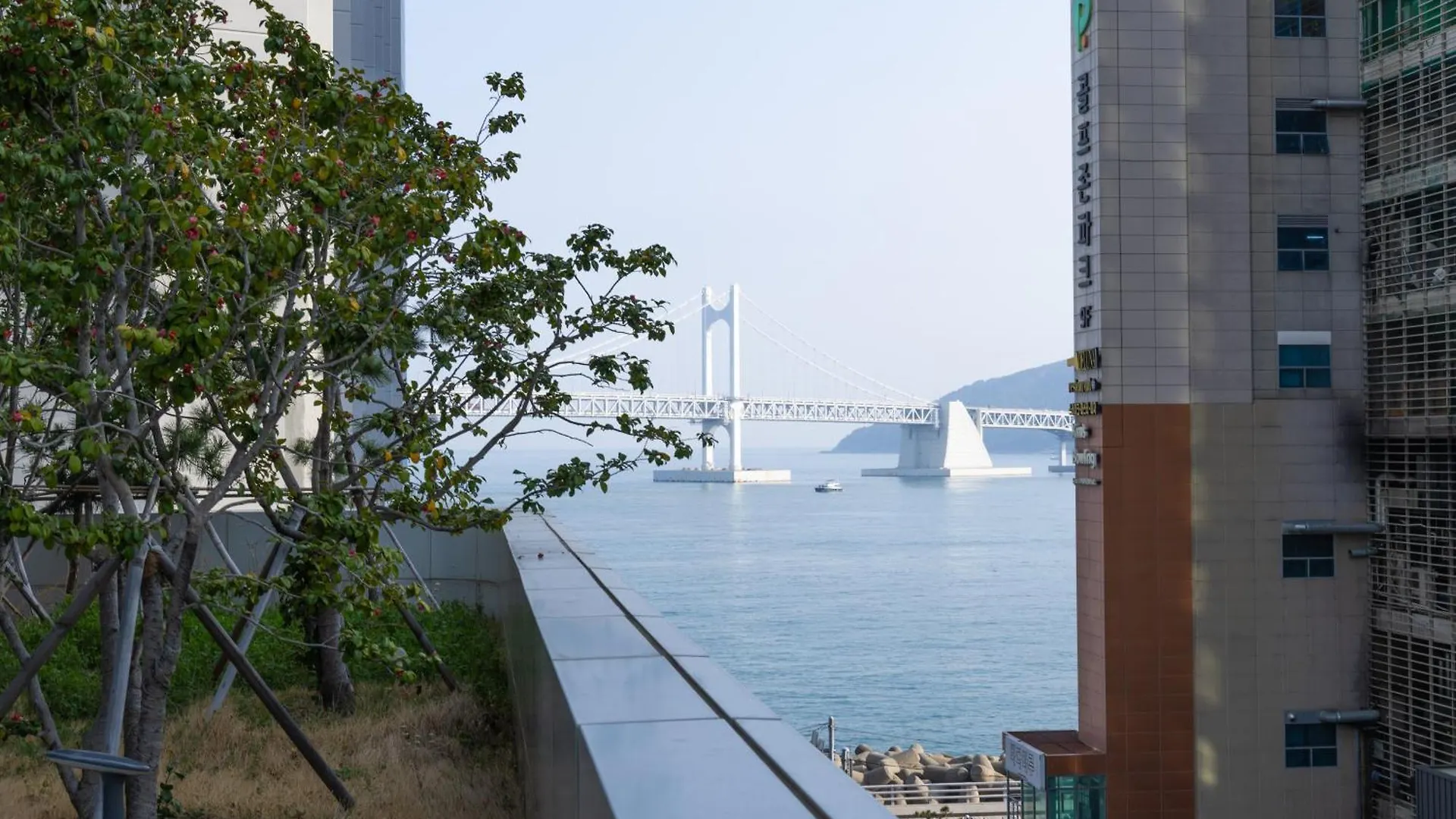 Gwangalli Beach Stylish Accommodation Peaceful Night Pusan