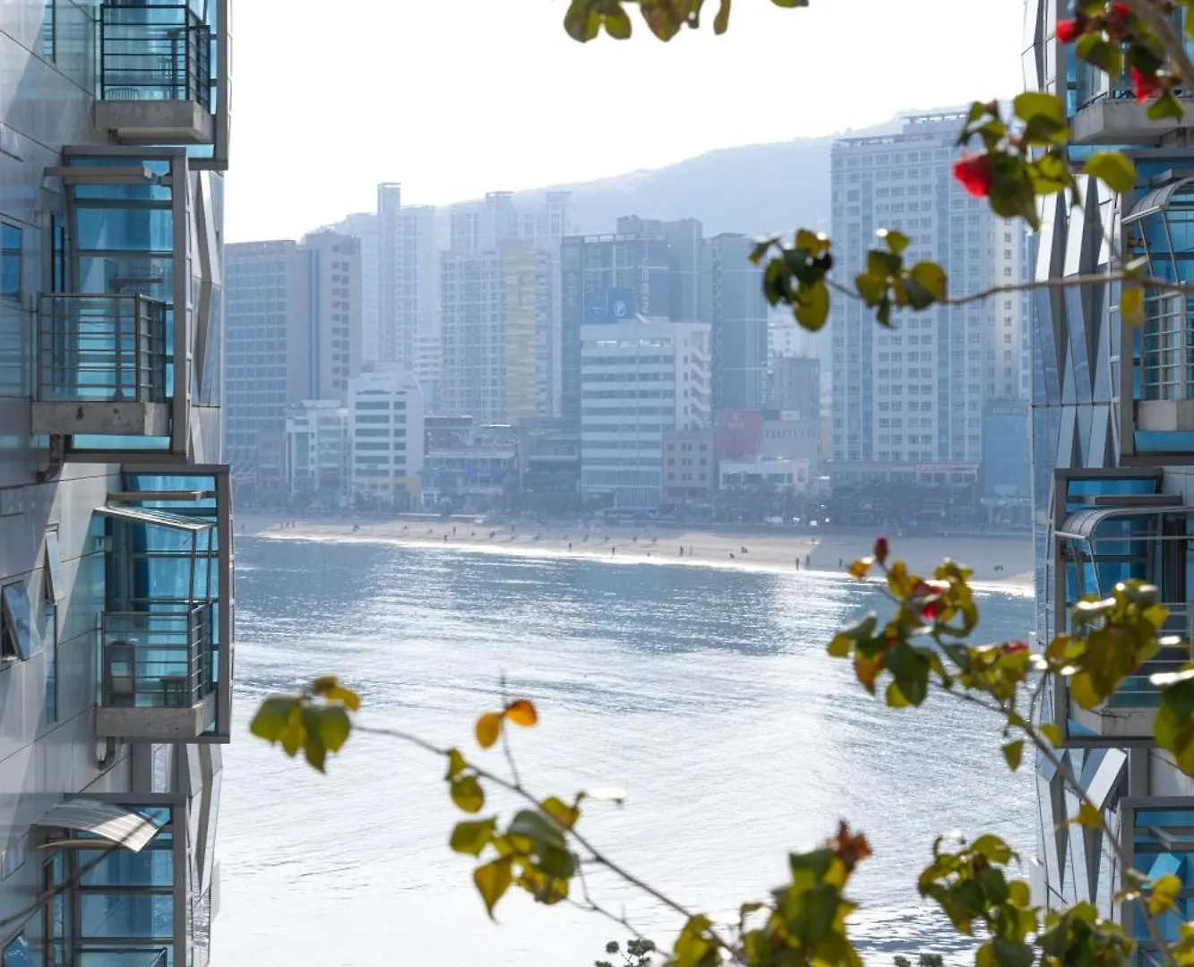 Gwangalli Beach Stylish Accommodation Peaceful Night Pusan 0*,